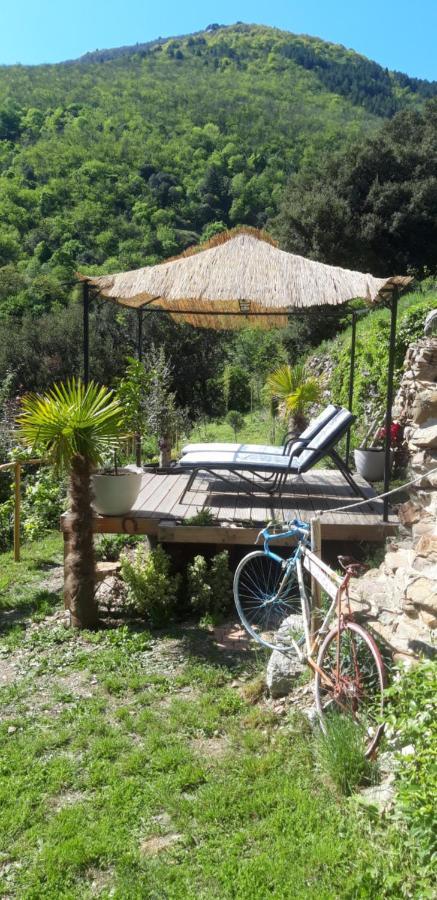 Gites Chez Daniel "Cevennes 1" Mars  Dış mekan fotoğraf
