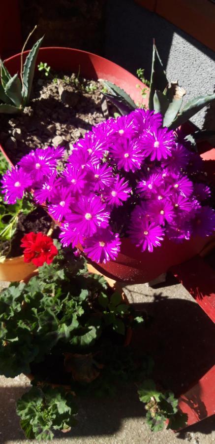 Gites Chez Daniel "Cevennes 1" Mars  Dış mekan fotoğraf
