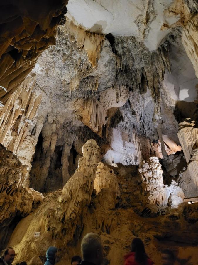 Gites Chez Daniel "Cevennes 1" Mars  Dış mekan fotoğraf