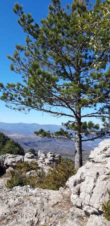 Gites Chez Daniel "Cevennes 1" Mars  Dış mekan fotoğraf